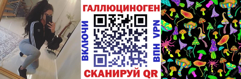 Псилоцибиновые грибы Cubensis  Иноземцево 